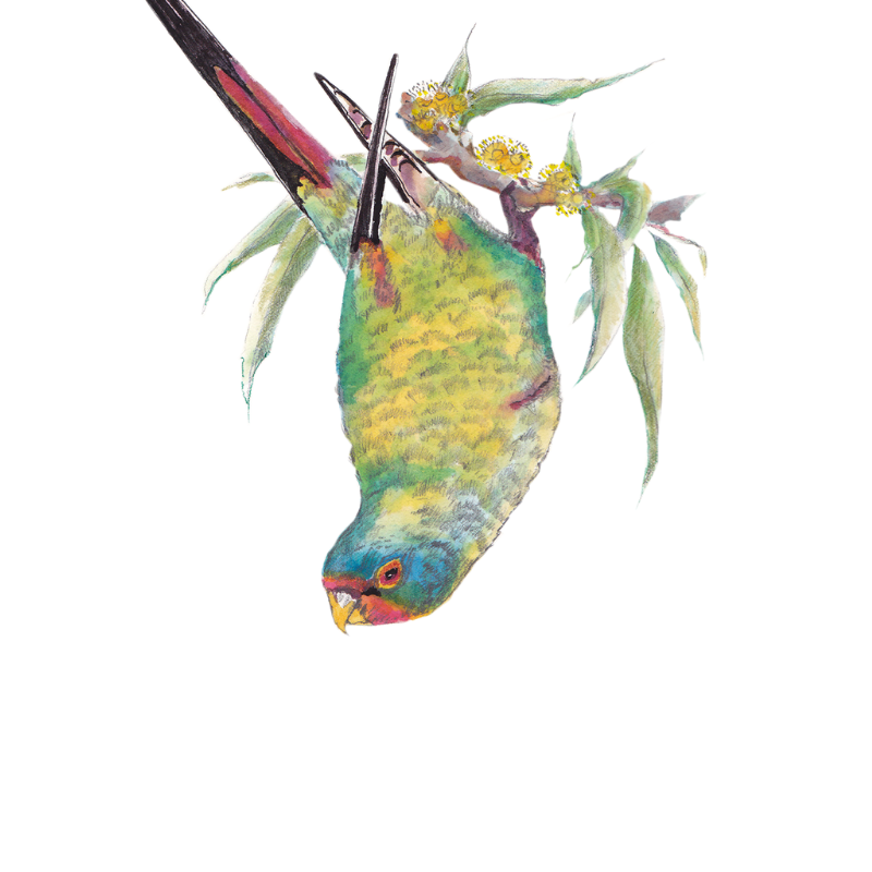 The Nature of Strengths: Holding On and Letting Go