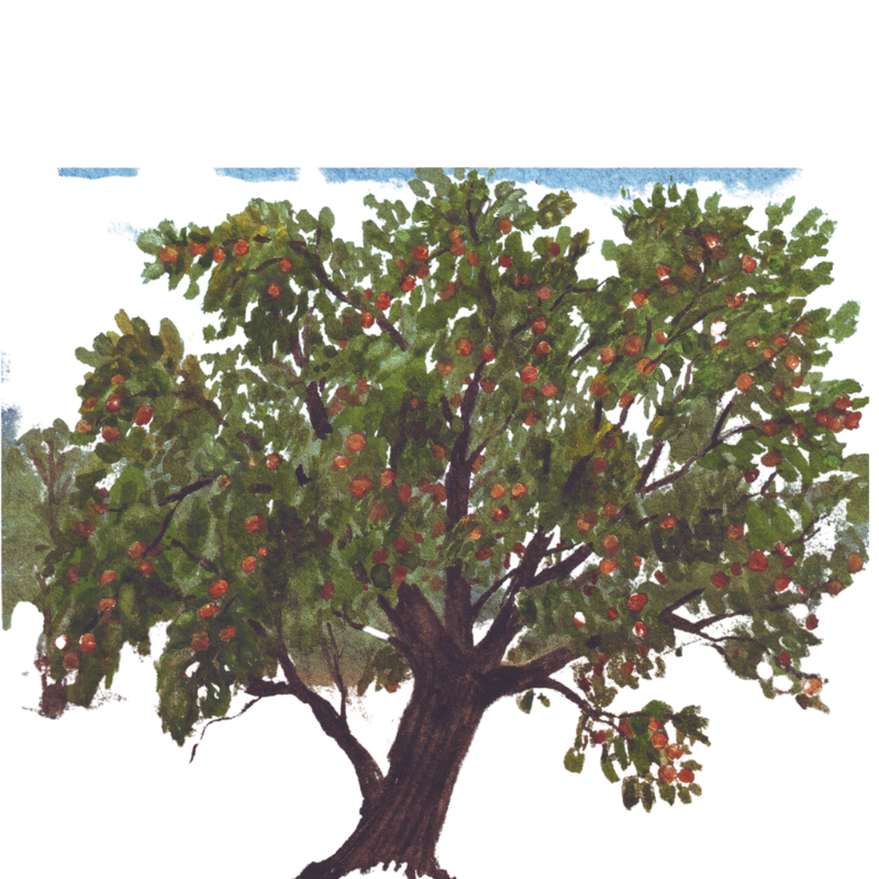 From Here to There… (Simple is best)