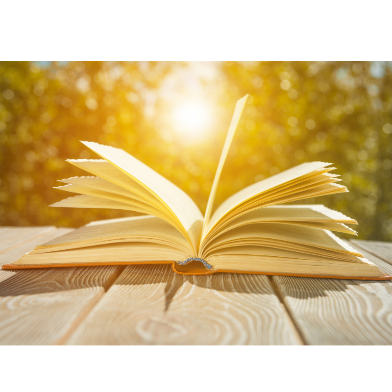 Reframing Practice ‘Issues’ as Practice ‘Stories’ in Peer Supervision