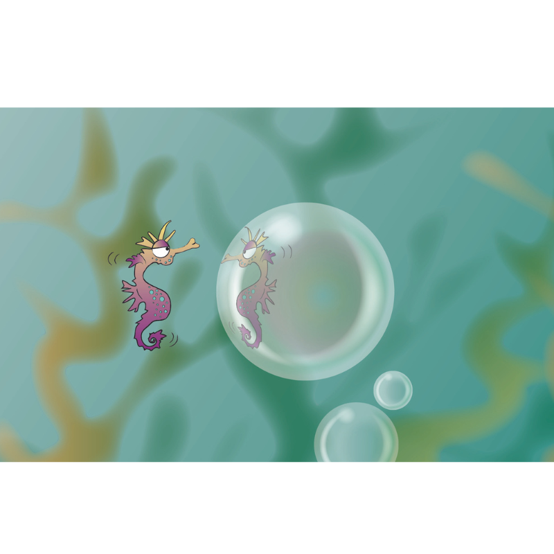 The Role of the Observer