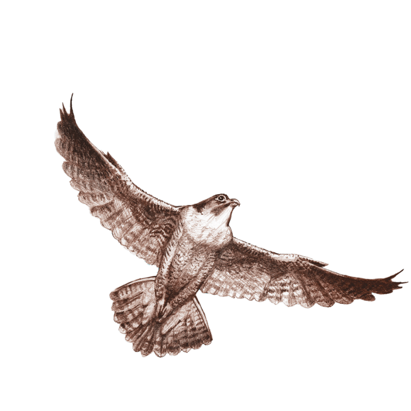 Self-Care: Not Just an Optional Add-on