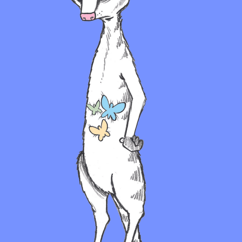 Body Signals®: Wisdom from Within