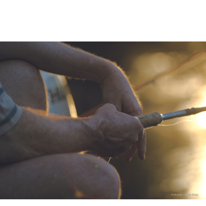 Picture of the Future