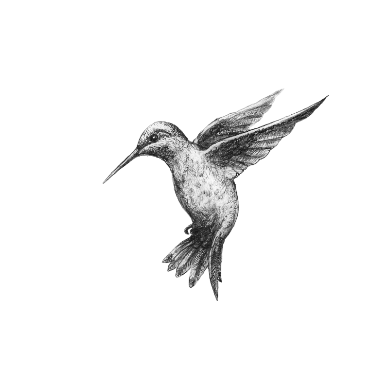 Let’s get serious about self-care in human services – using work as a self-care strategy