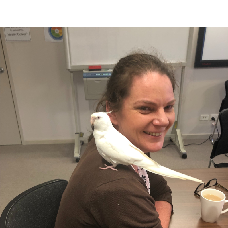 Hot off the Press: Eating Disorders & Other Shadowy Companions