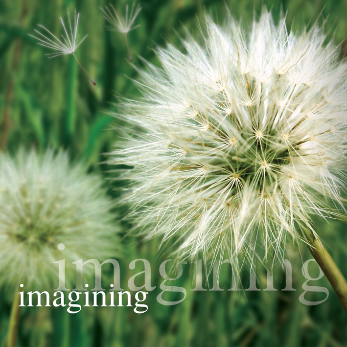 Mindfulness or mindlessness—a battle of the minds?