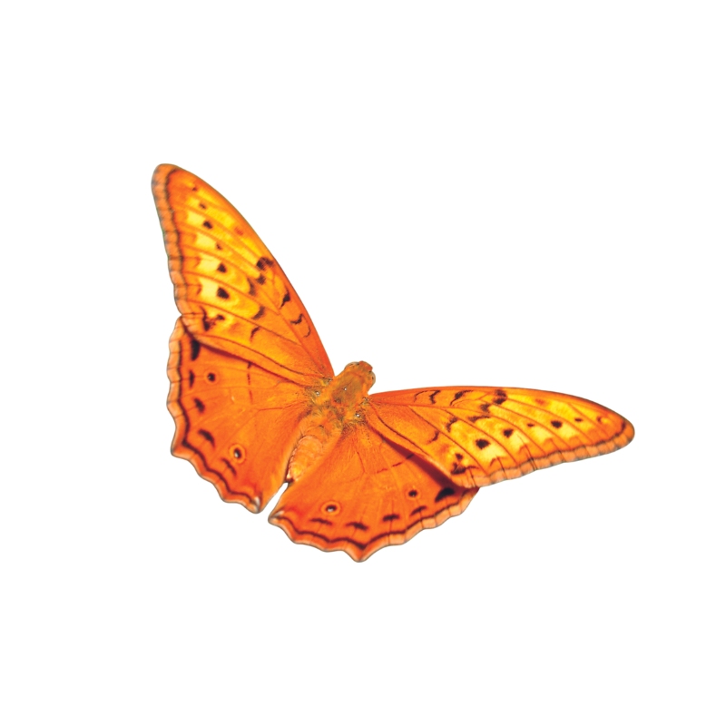 The importance of connecting this holiday season