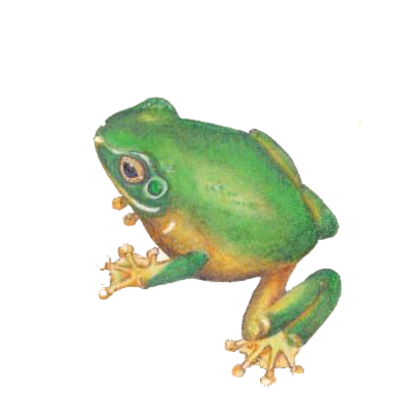 How nature can be a powerful tool for mental health