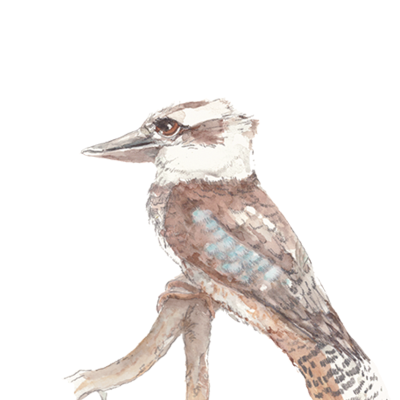 Interview with nature-based therapist and social worker, Kit Kline