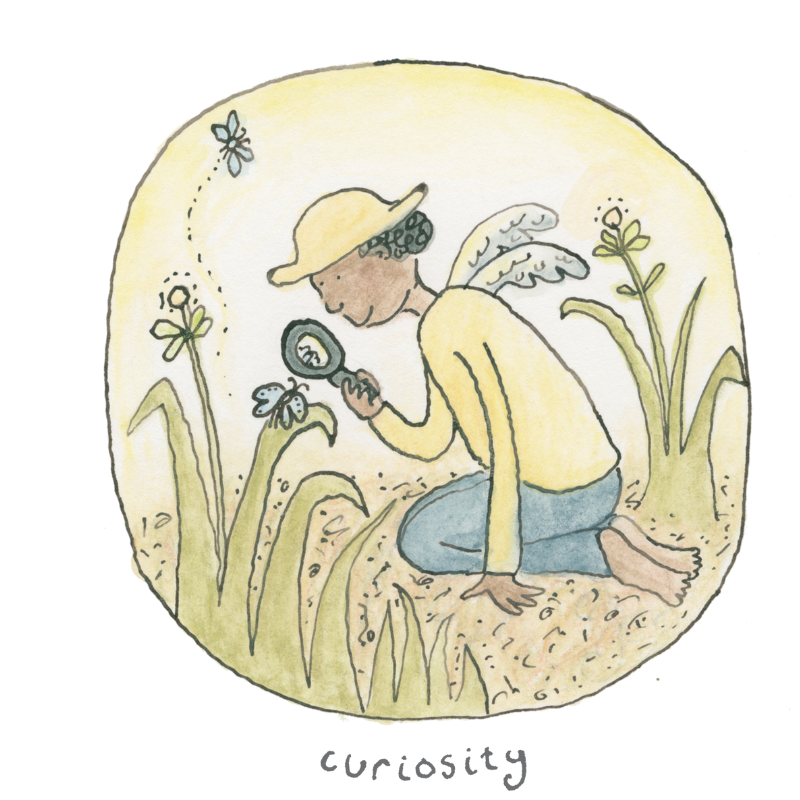 Everyday Strengths takes flight