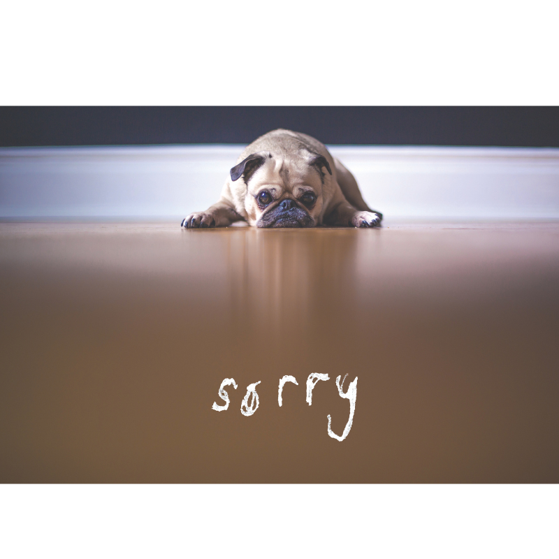 The Languages of Apology