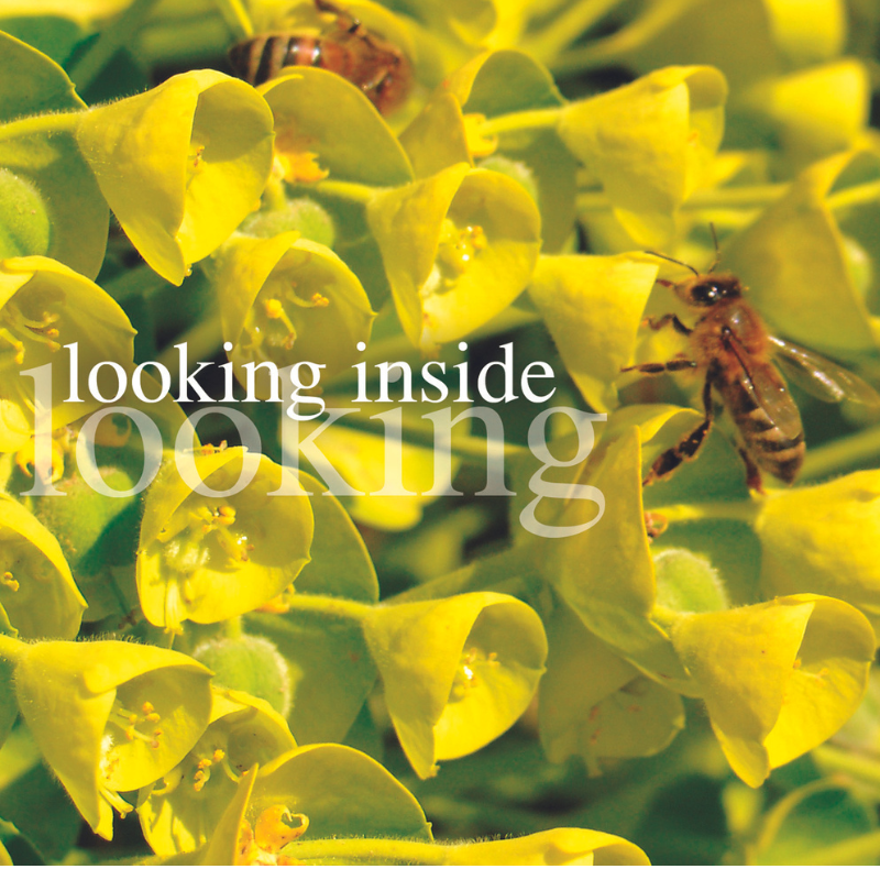 The heart of the matter: a journey into spiritual care