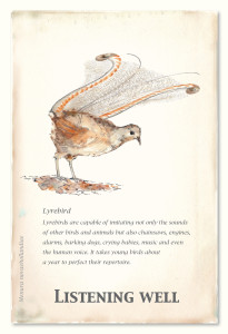 Nature of Strengths card fronts changes22