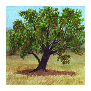 Two_Worlds_Cards_Final15