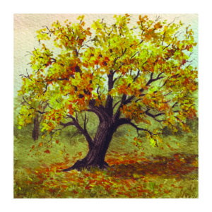 Two_Worlds_Cards_Final16