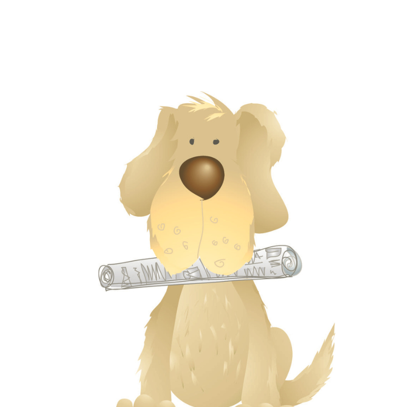 Growing better humans: How a bag of toy animals sparked a movement in children’s wellbeing