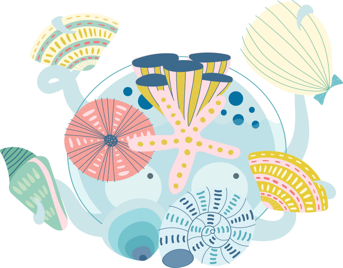 Growing better humans: How a bag of toy animals sparked a movement in children’s wellbeing